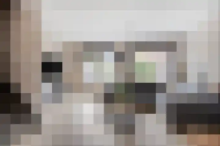Morra 42 Zwolle thumbnail 4