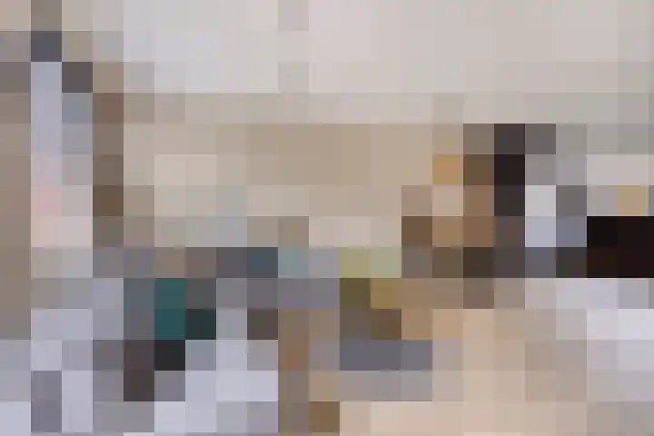 Morra 42 Zwolle thumbnail 5