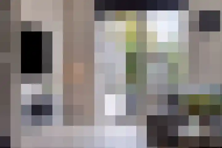 Morra 42 Zwolle thumbnail 6