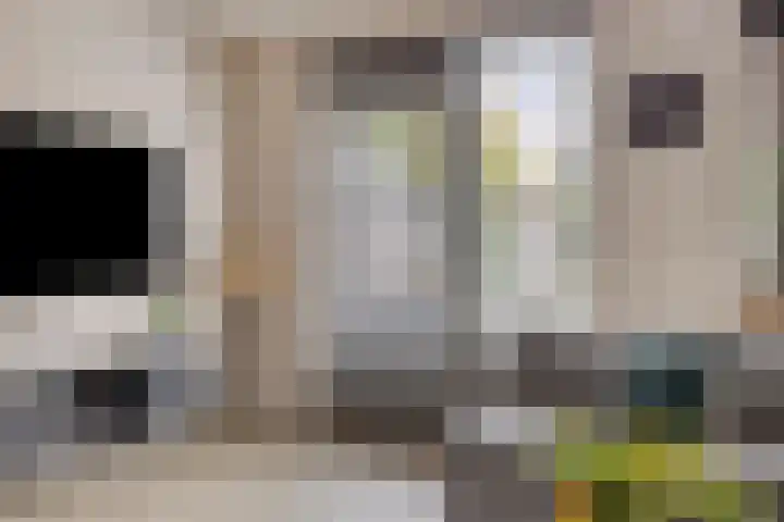 Morra 42 Zwolle thumbnail 8