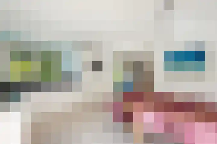 Morra 83 Drachten thumbnail 14