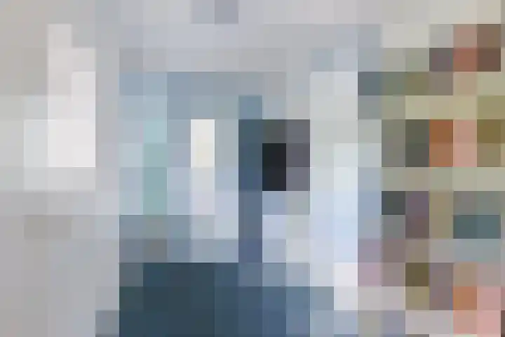 Morra 83 Drachten thumbnail 19
