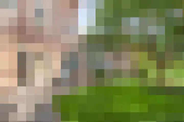 Morra 83 Drachten thumbnail 25