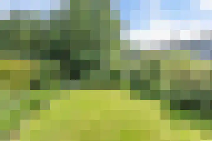 Morra 83 Drachten thumbnail 26