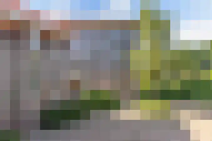Morra 83 Drachten thumbnail 27