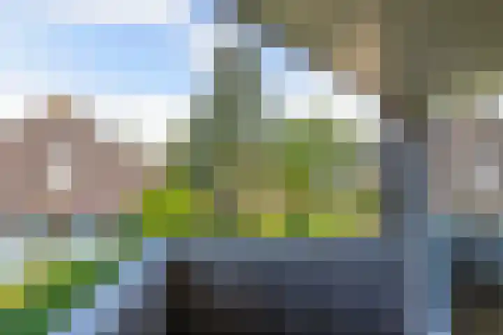 Morra 83 Drachten thumbnail 31