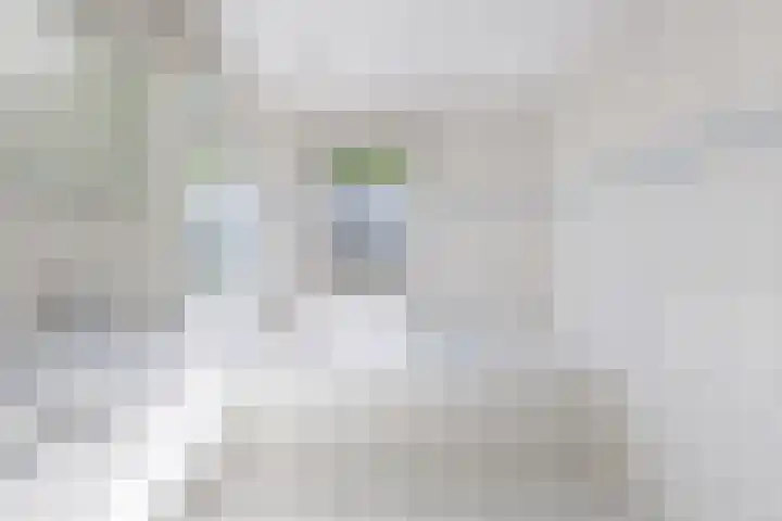Morra 83 Drachten thumbnail 39