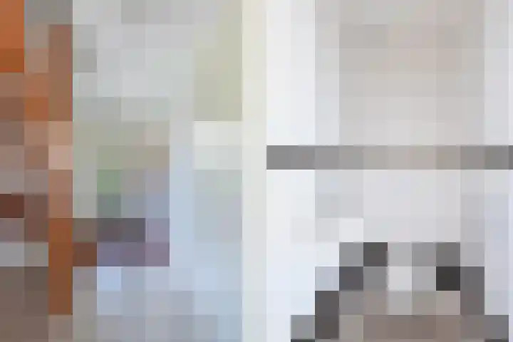 Morra 83 Drachten thumbnail 4