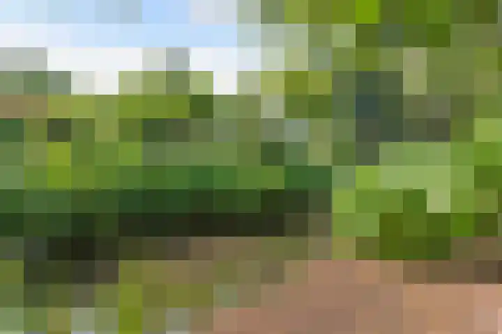 Morra 83 Drachten thumbnail 42