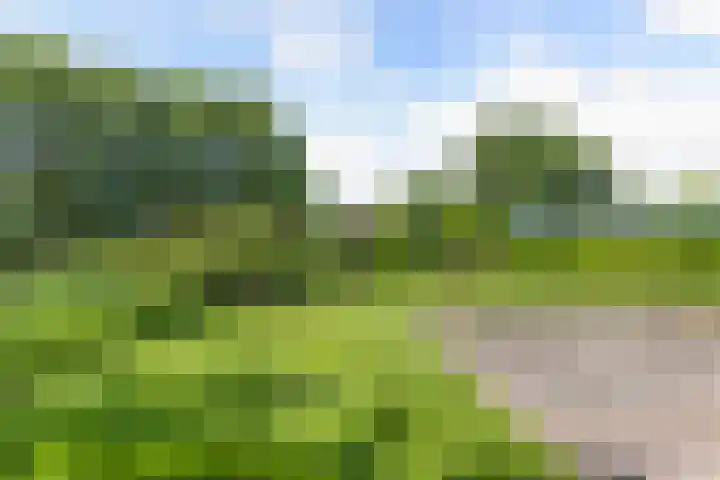 Morra 83 Drachten thumbnail 43