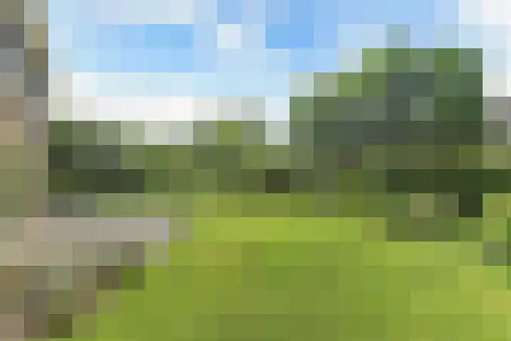 Morra 83 Drachten thumbnail 44