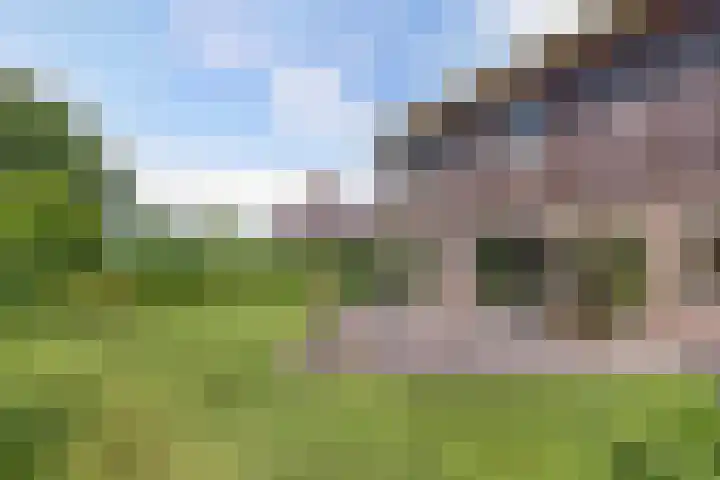 Morra 83 Drachten thumbnail 45