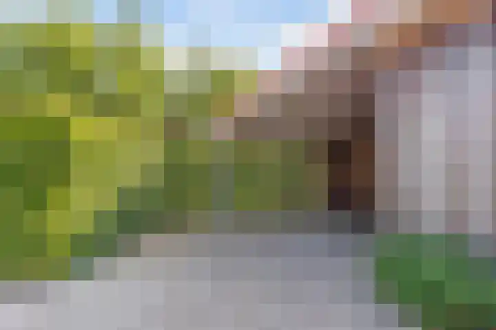 Morra 83 Drachten thumbnail 47