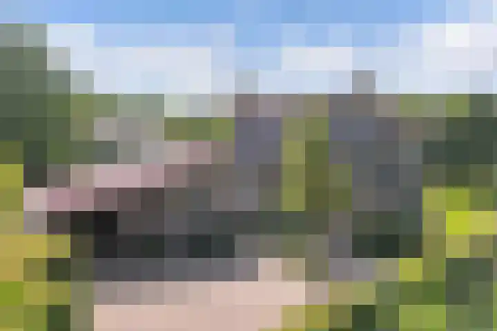 Morra 83 Drachten thumbnail 49