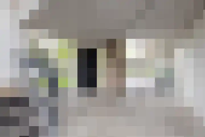 Morrahemstraat 104 Sneek thumbnail 33