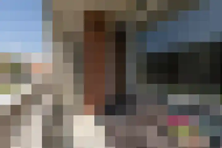Morrahemstraat 52 Sneek thumbnail 15