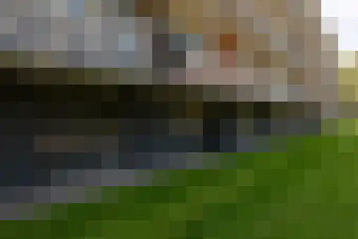 Morrahemstraat 52 Sneek thumbnail 32