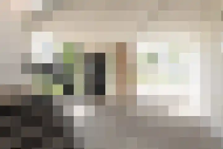 Morrahemstraat 52 Sneek thumbnail 36