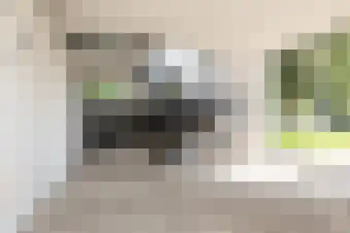 Morrahemstraat 52 Sneek thumbnail 37