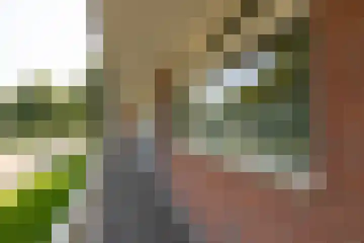 Morrahemstraat 52 Sneek thumbnail 4