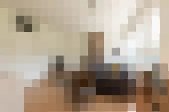 Morrahemstraat 52 Sneek thumbnail 6