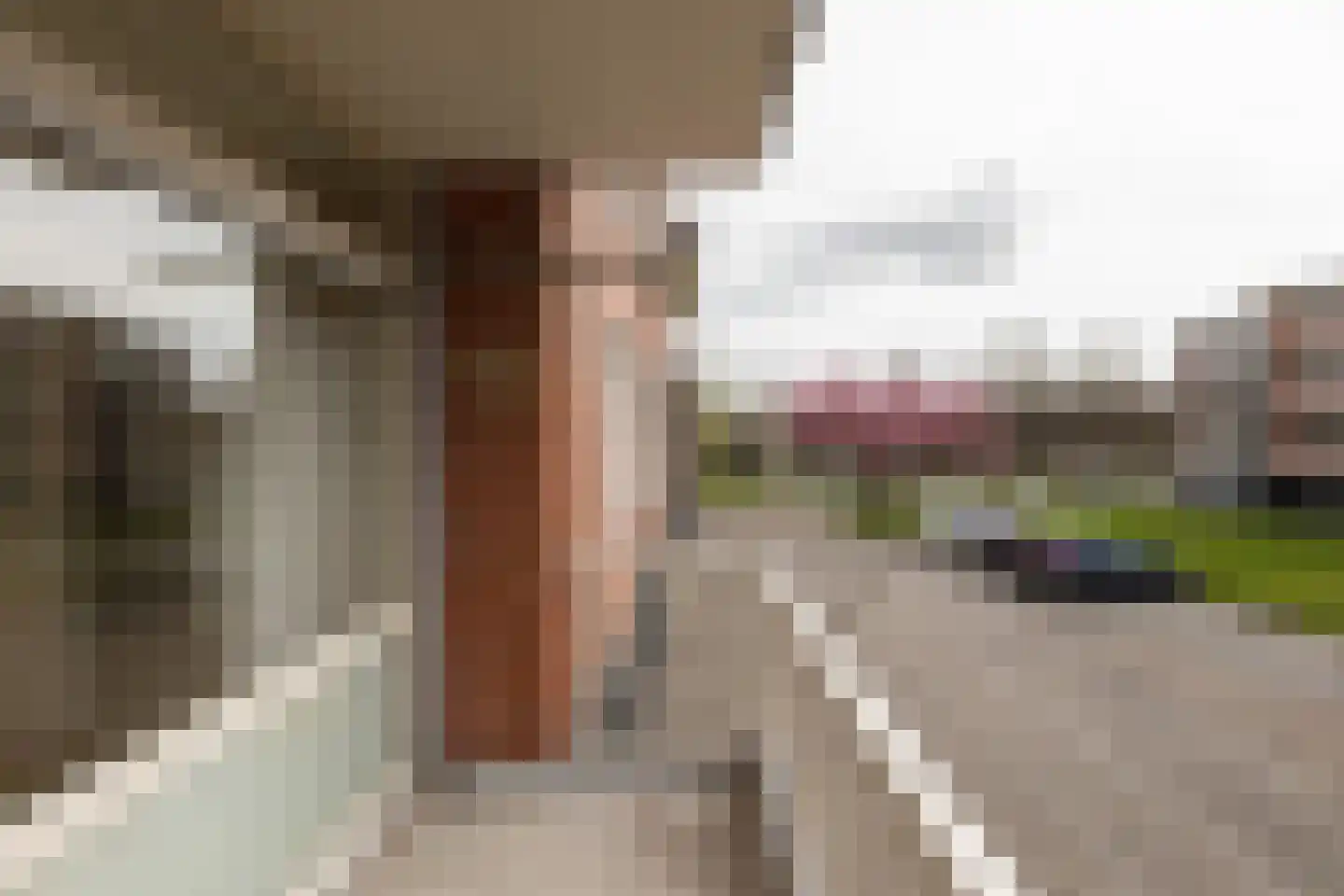 Morrahemstraat 56 Sneek thumbnail 10