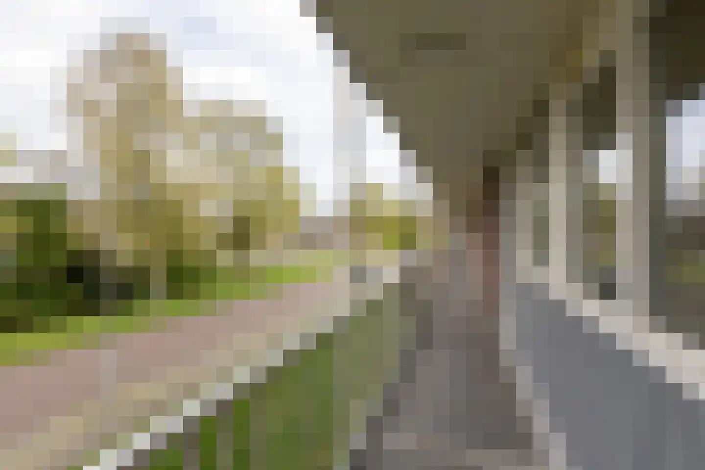 Morrahemstraat 56 Sneek thumbnail 23