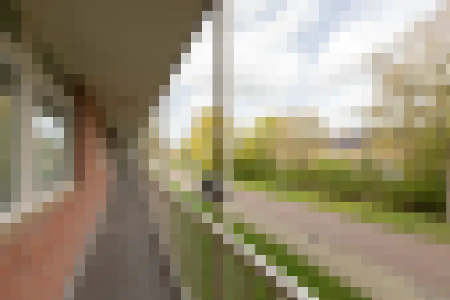 Morrahemstraat 56 Sneek thumbnail 24