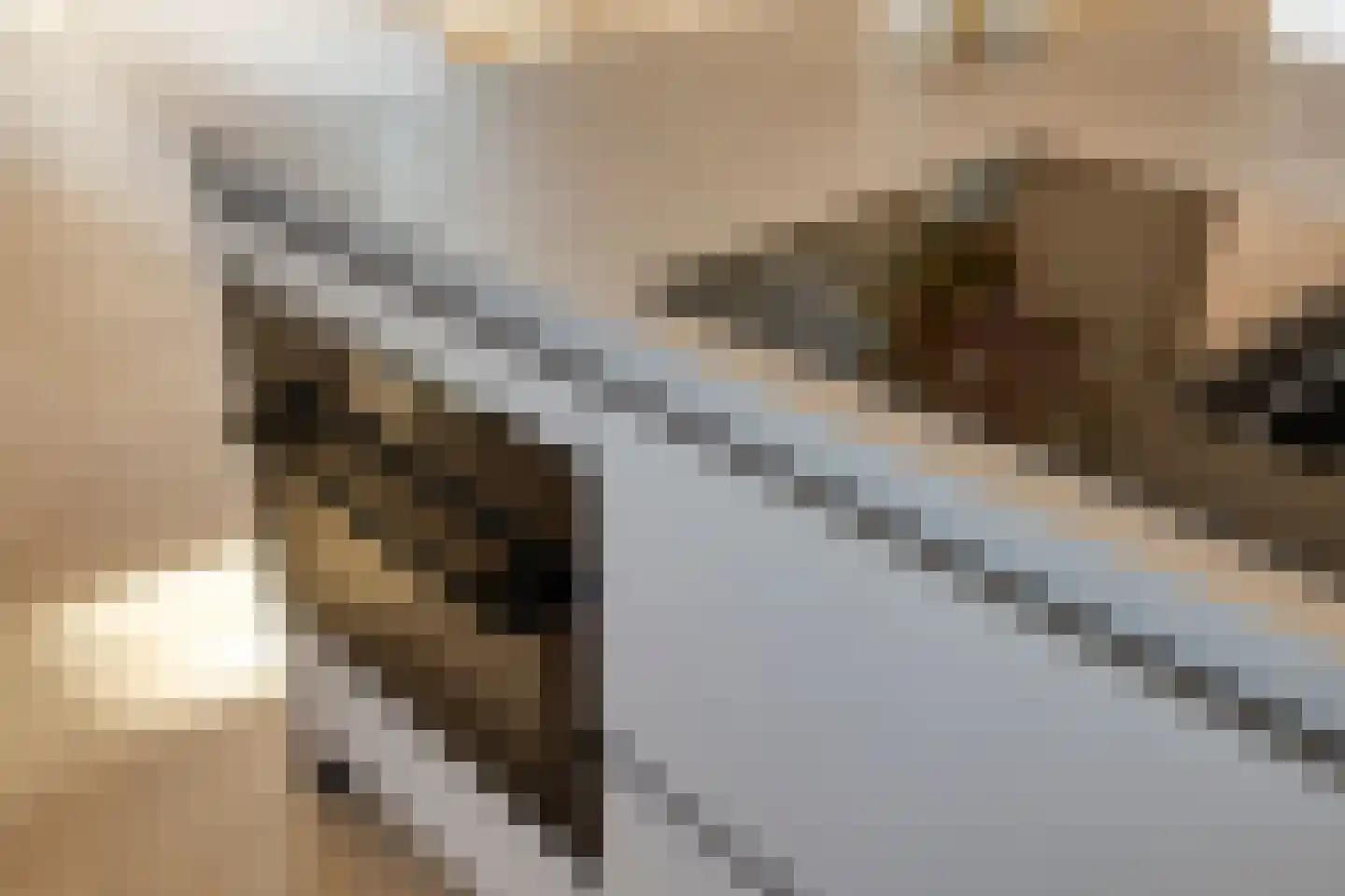 Morrahof 22 Tilburg thumbnail 20