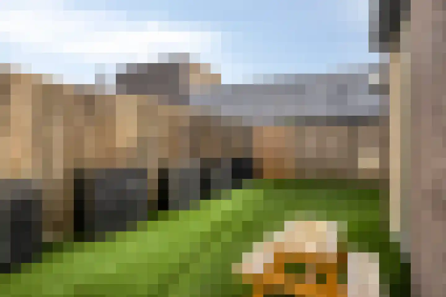 Morrahof 22 Tilburg thumbnail 37