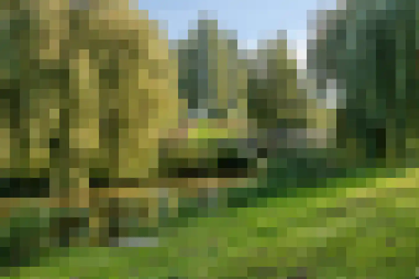 Morrahof 22 Tilburg thumbnail 45