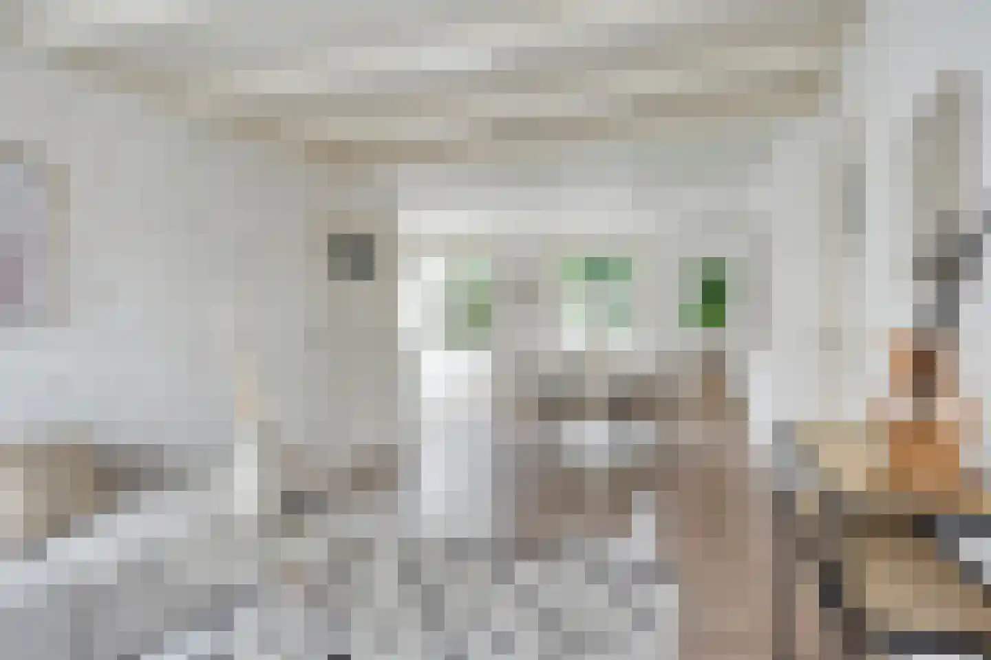 Morrensteeg 16 01 Kampen thumbnail 18
