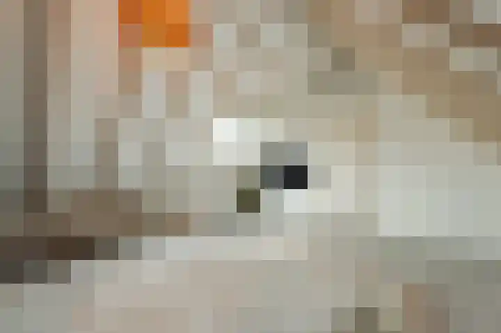 Morrensteeg 8 A Kampen thumbnail 33
