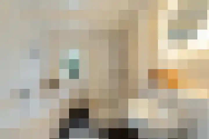 Morrensteeg 8 A Kampen thumbnail 4