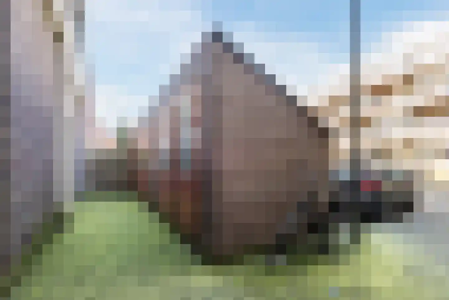 Morriganstraat 9 Almere thumbnail 41
