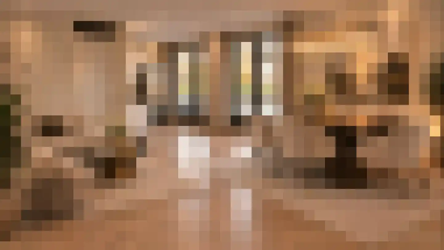 Morriganstraat 9 Almere thumbnail 8