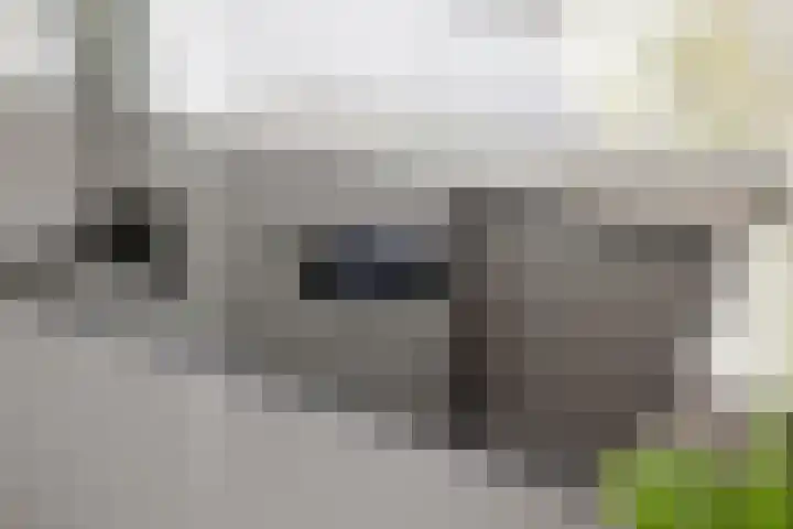 Morrisonstraat 22 Tilburg thumbnail 10