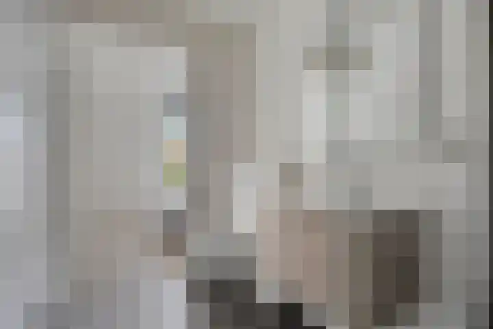 Morrisonstraat 22 Tilburg thumbnail 20
