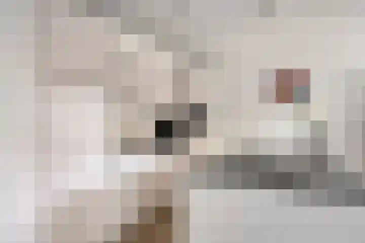 Morrisonstraat 22 Tilburg thumbnail 9