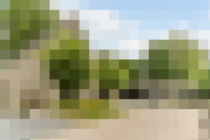 Morrisonstraat 4 Tilburg thumbnail 34