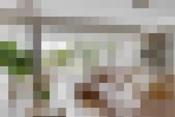Morschweg 23 Wervershoof thumbnail 12