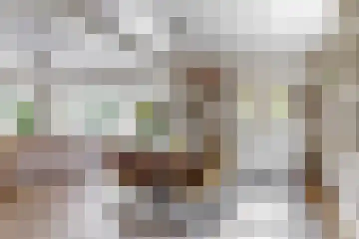 Morschweg 23 Wervershoof thumbnail 16
