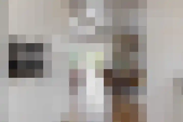 Morschweg 23 Wervershoof thumbnail 17
