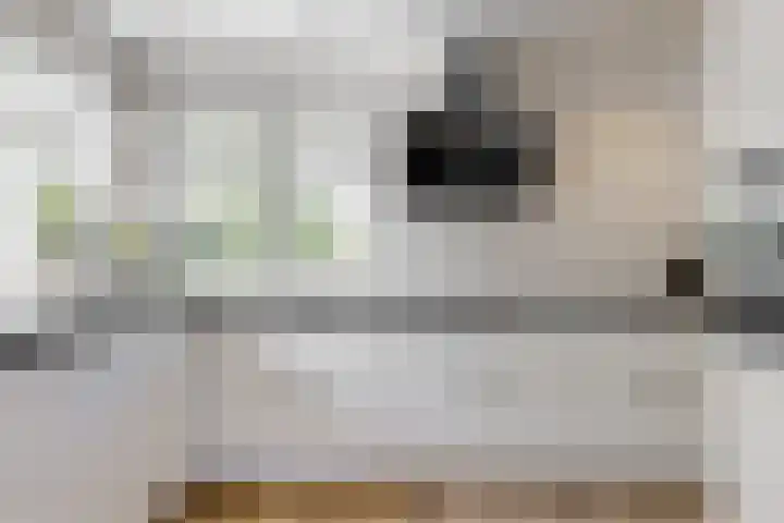 Morschweg 23 Wervershoof thumbnail 18