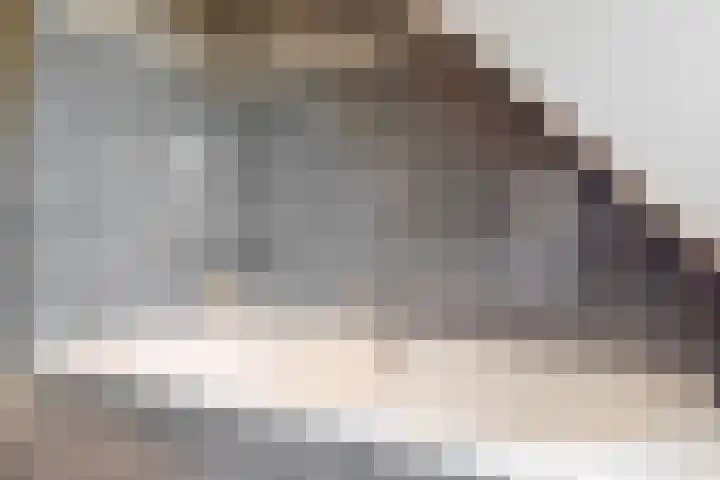 Morschweg 23 Wervershoof thumbnail 36