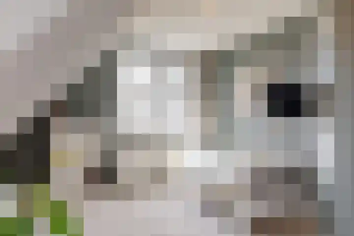 Morschweg 23 Wervershoof thumbnail 37