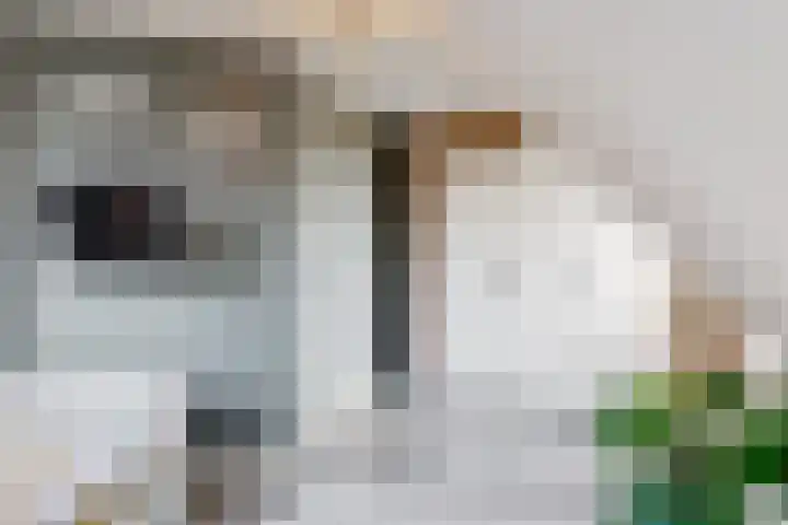 Morschweg 23 Wervershoof thumbnail 38