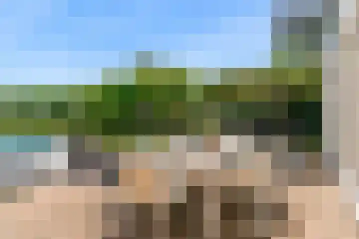 Morschweg 23 Wervershoof thumbnail 44