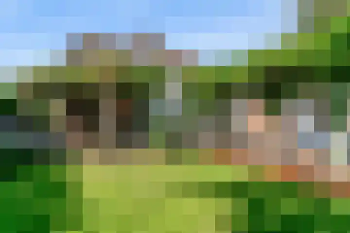 Morschweg 23 Wervershoof thumbnail 46