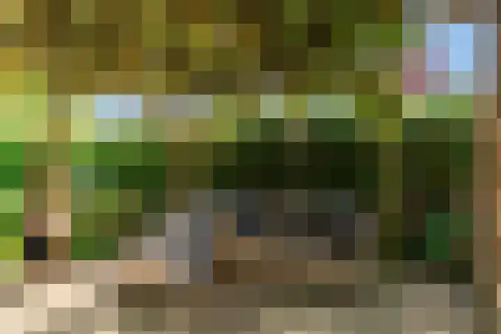Morschweg 23 Wervershoof thumbnail 47